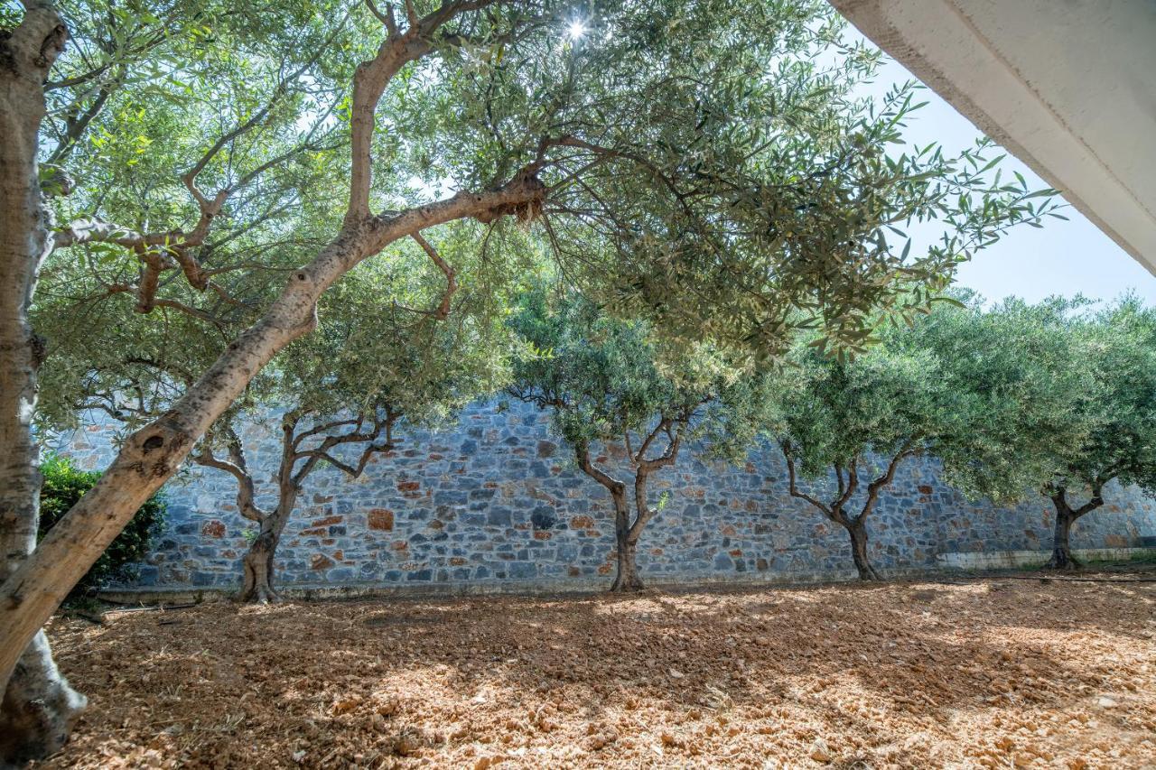 Semiramis Village Hotel Hersonissos  Bagian luar foto